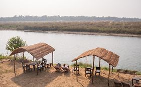 Jungle Wildlife Camp